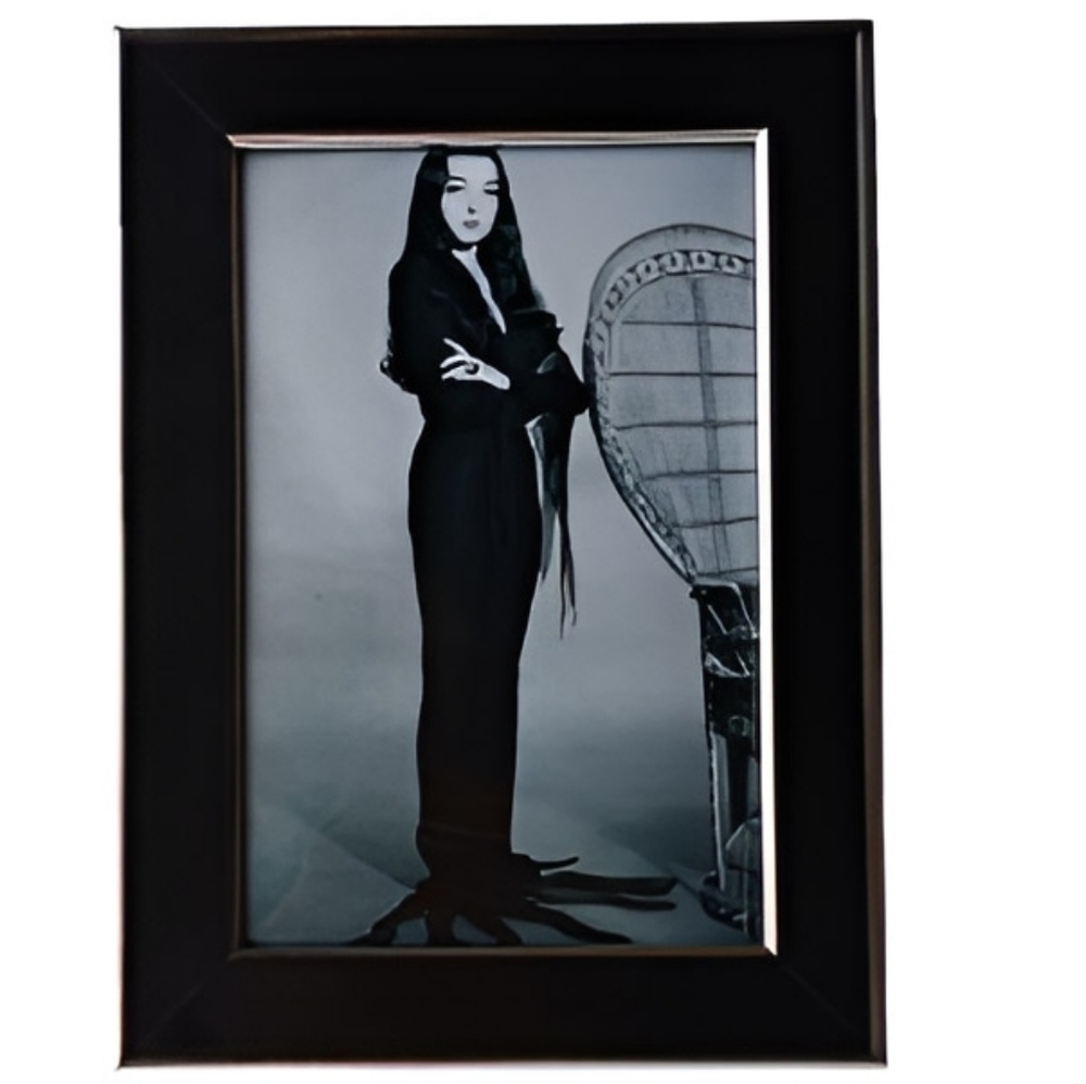 Addams Family Morticia Vintage 60s original Gothic Punk Rock Miss attitude frame